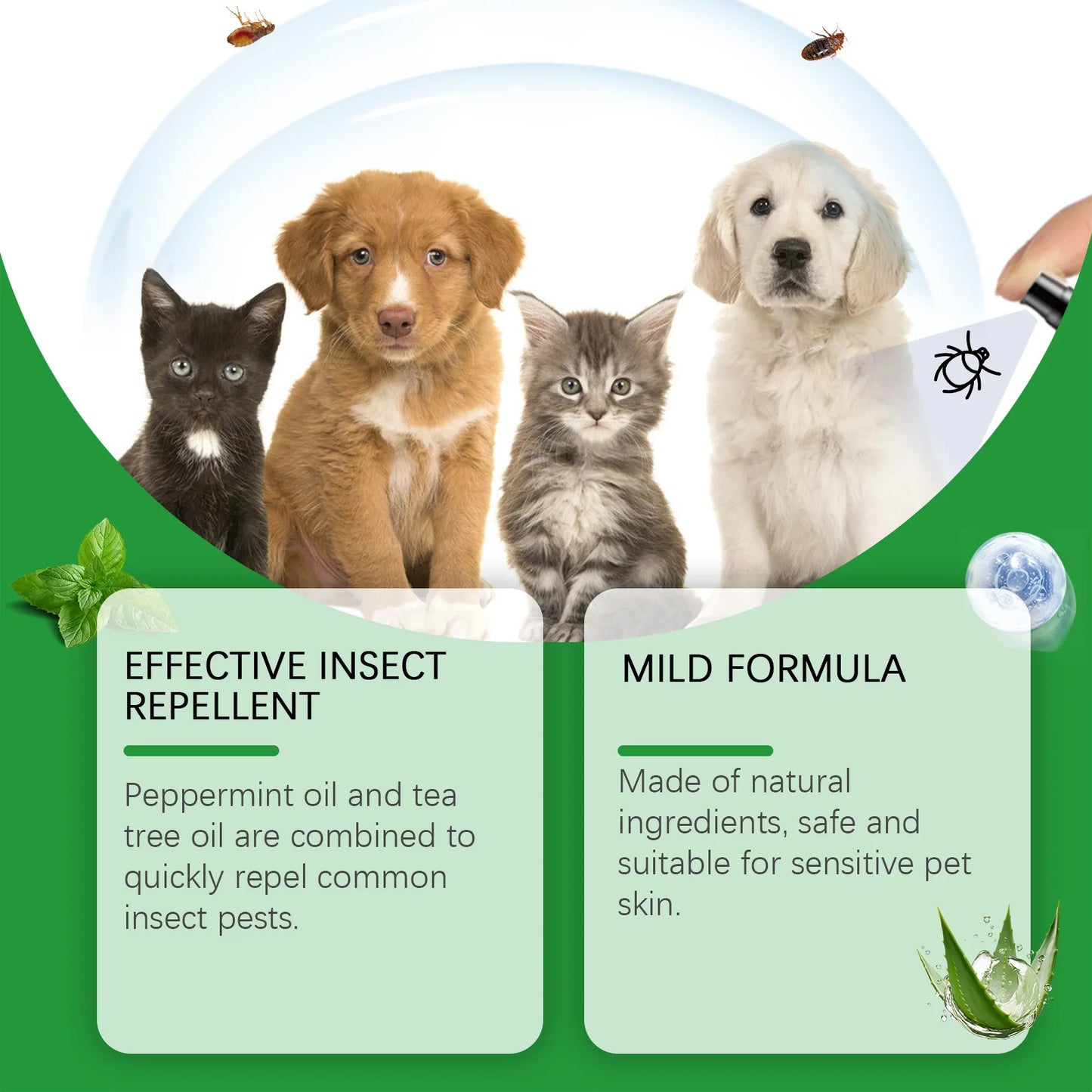 Mite Removal Spray Cats Dogs Flea Killer Itching Relief Remove Ticks Cat Allergy Treatments Anti Lice Insect Pet Skin Care Spray