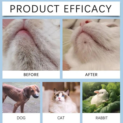 Cat Chin Cleaner 30g Blackhead Cleaning Lotion Pet Chin Acne Care Brush Dog Cat Grooming Supplies Tooth Stain Remover for Pets