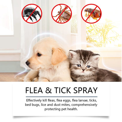 Mite Removal Spray Cats Dogs Flea Killer Itching Relief Remove Ticks Cat Allergy Treatments Anti Lice Insect Pet Skin Care Spray