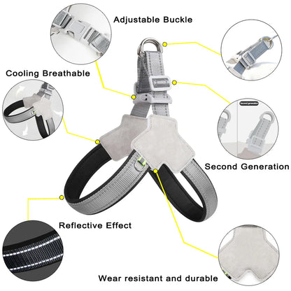 Pet Chest Strap for Small Medium Dogs Summer Puppy Breathable Adjustable Hiking Harness Vest Chihuahua Yorkshire Pug Supplies