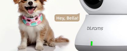 Blurams 360° Indoor Pet Camera with 2-Way Talk