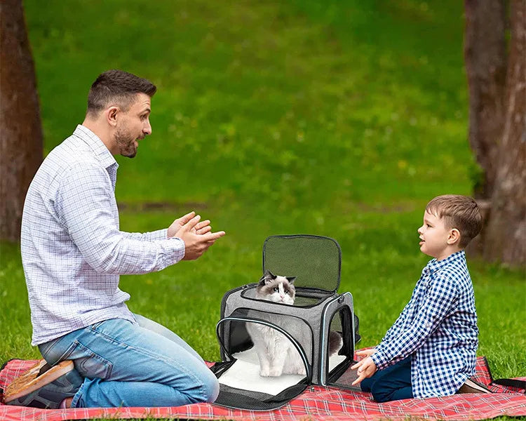 Pet Carrier Bag Foldable Small Dog Charter Carrying Cat Out Bag Expansion Pet Bag Mesh Breathable Expansion Foldable Handheld C