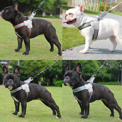 Pet Chest Strap for Small Medium Dogs Summer Puppy Breathable Adjustable Hiking Harness Vest Chihuahua Yorkshire Pug Supplies